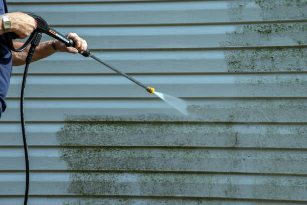 Solar Panel Cleaning in Alexandria, MN