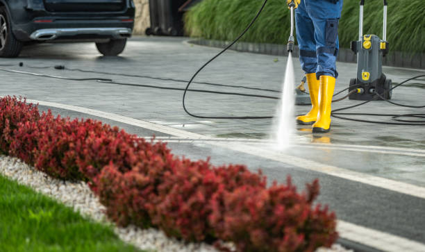 Professional Pressure washing in Alexandria, MN